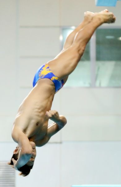 中華臺北跳水選手林昀蒂在第二屆臺北城市盃跳水邀請賽暨總統盃跳水邀請賽一米跳板演出。圖/大會提供