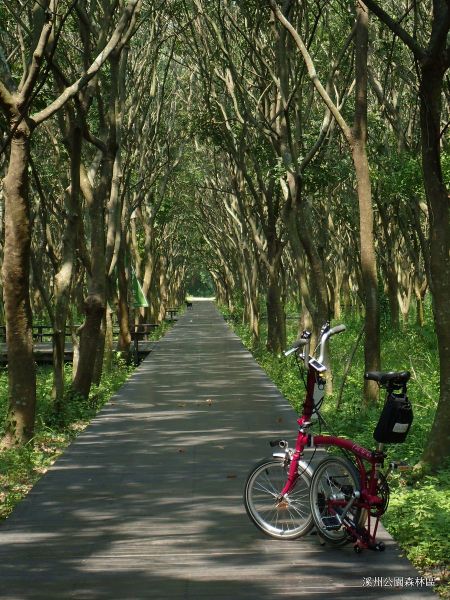 碧草如茵的溪州公園，騎行單車於此，讓人感到非常放鬆及悠閒。