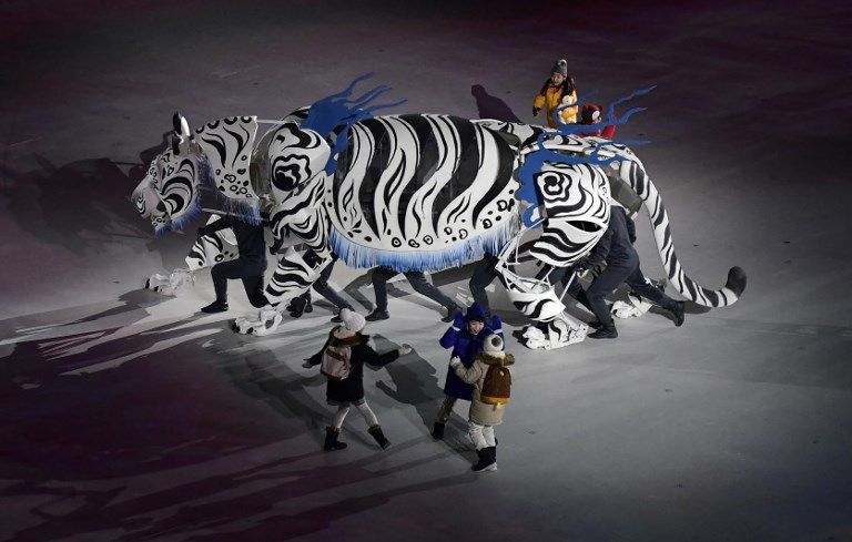 平昌冬奧上的白老虎表演。法新社