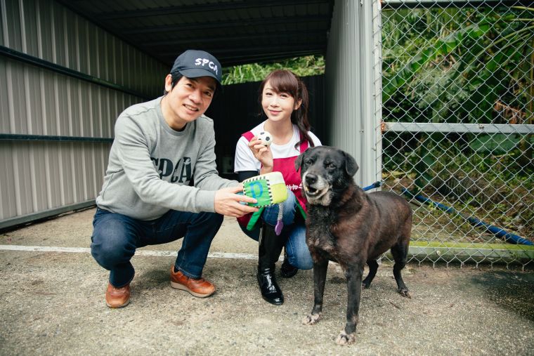 副總統賴清德（左）與台北市議員許淑華至新北市瑞芳區動物之家擔任一日志工，與所內待領養狗狗互動。台灣防止虐待動物協會提供