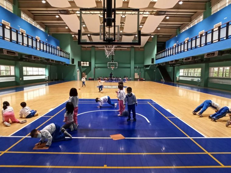 碧華國小擁有設施完善的籃球館。碧華國小提供