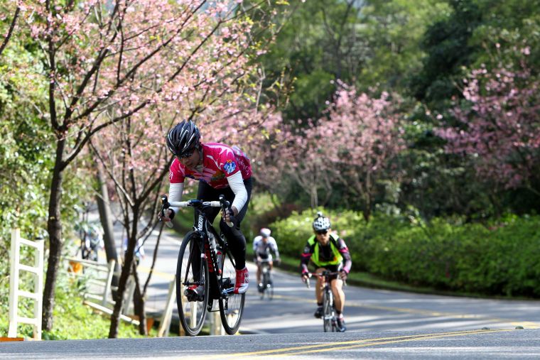 扶輪盃北海櫻木花道自行車挑戰2月15日截止報名。林嘉欣／攝影。