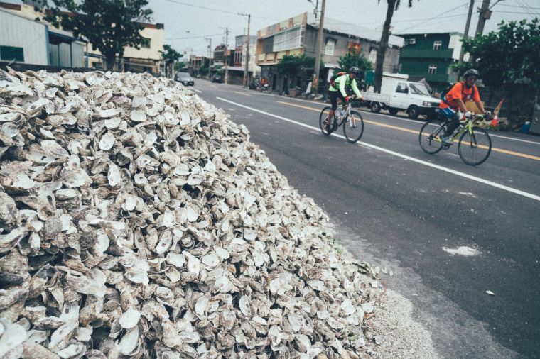 參加雲嘉南濱海小鎮慢旅自行車騎遊的車友，和一旁的蚵仔堆相映成趣。中華民國自行車騎士協會／提供。