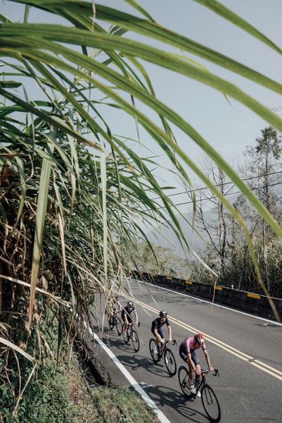 日月潭塔塔加單車挑戰。中華民國自行車騎士協會／提供。
