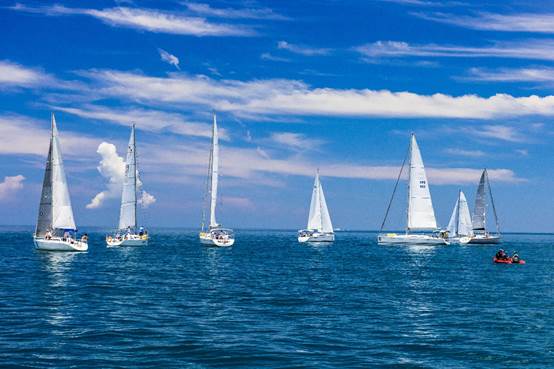 第七屆海峽盃帆船賽暨國際邀請賽6月16日起在廈門隆重展開。大會提供