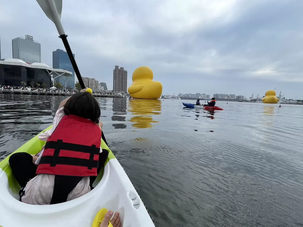 親子共划獨木舟在水上近距離獨享小鴨絕佳拍攝角度。 高雄市運動發展局／提供