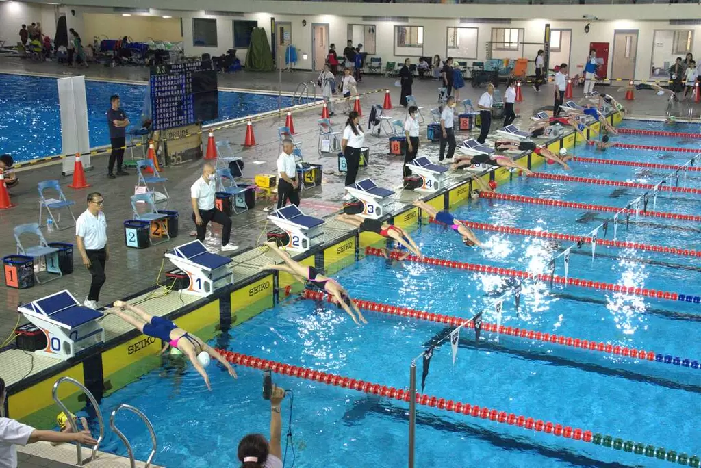 全國小學游泳錦標賽四天賽事於臺中北區國運舉行。台中市運動局提供