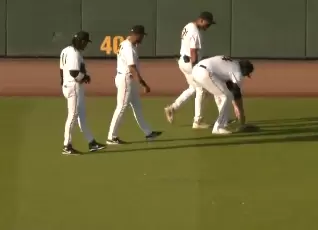 MLB》這隻烏龜跑超快！　「闖入場內中斷小聯盟比賽」影片曝光