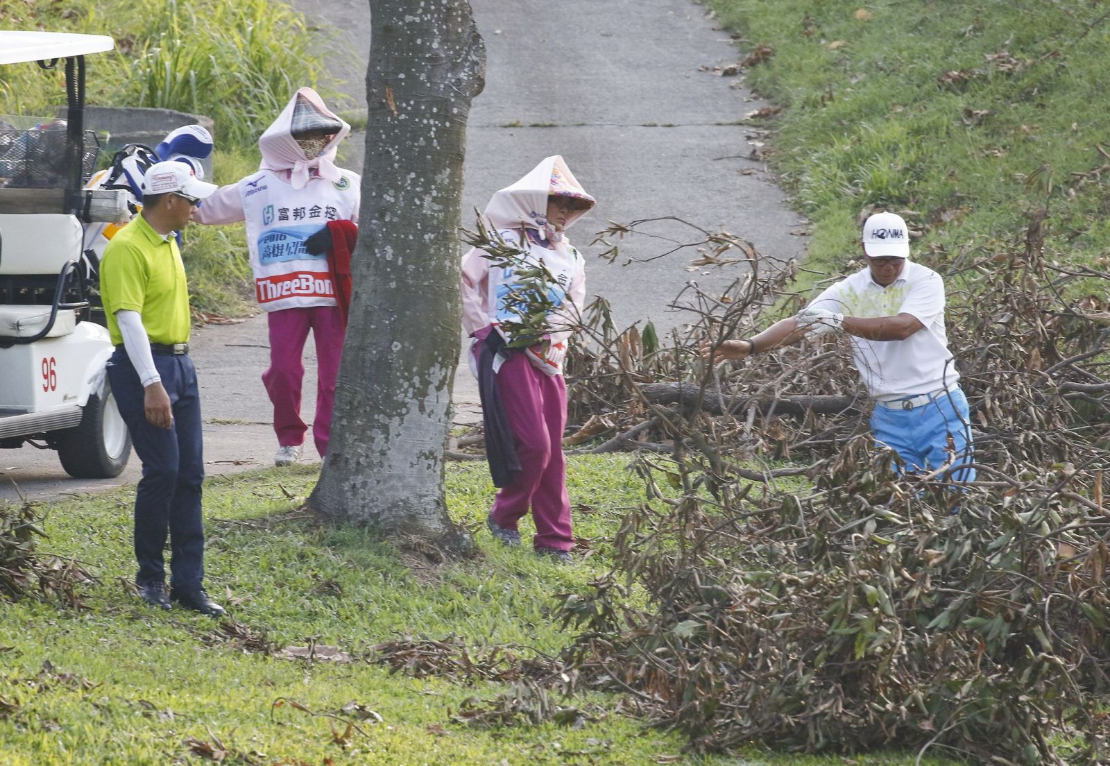 選手在因颱風所造成的殘枝落葉中找球。
