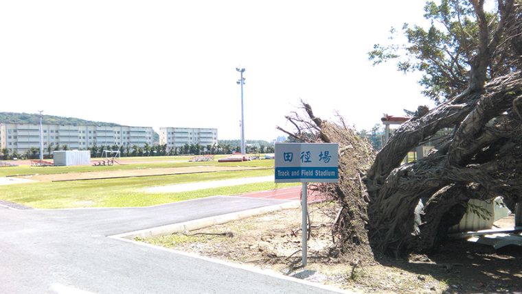 國訓中心受颱風影響，場地重傷害。圖/翻攝自國訓中心臉書