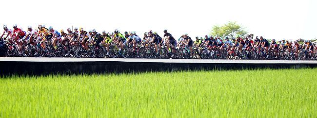 AMD環東臺灣自行車賽，大集團經過稻田區，相當壯觀。（中華自行車騎士協會提供）