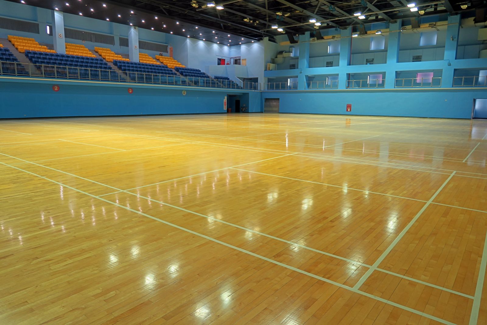 台北體育館整修完工。攝影/楊育欣
