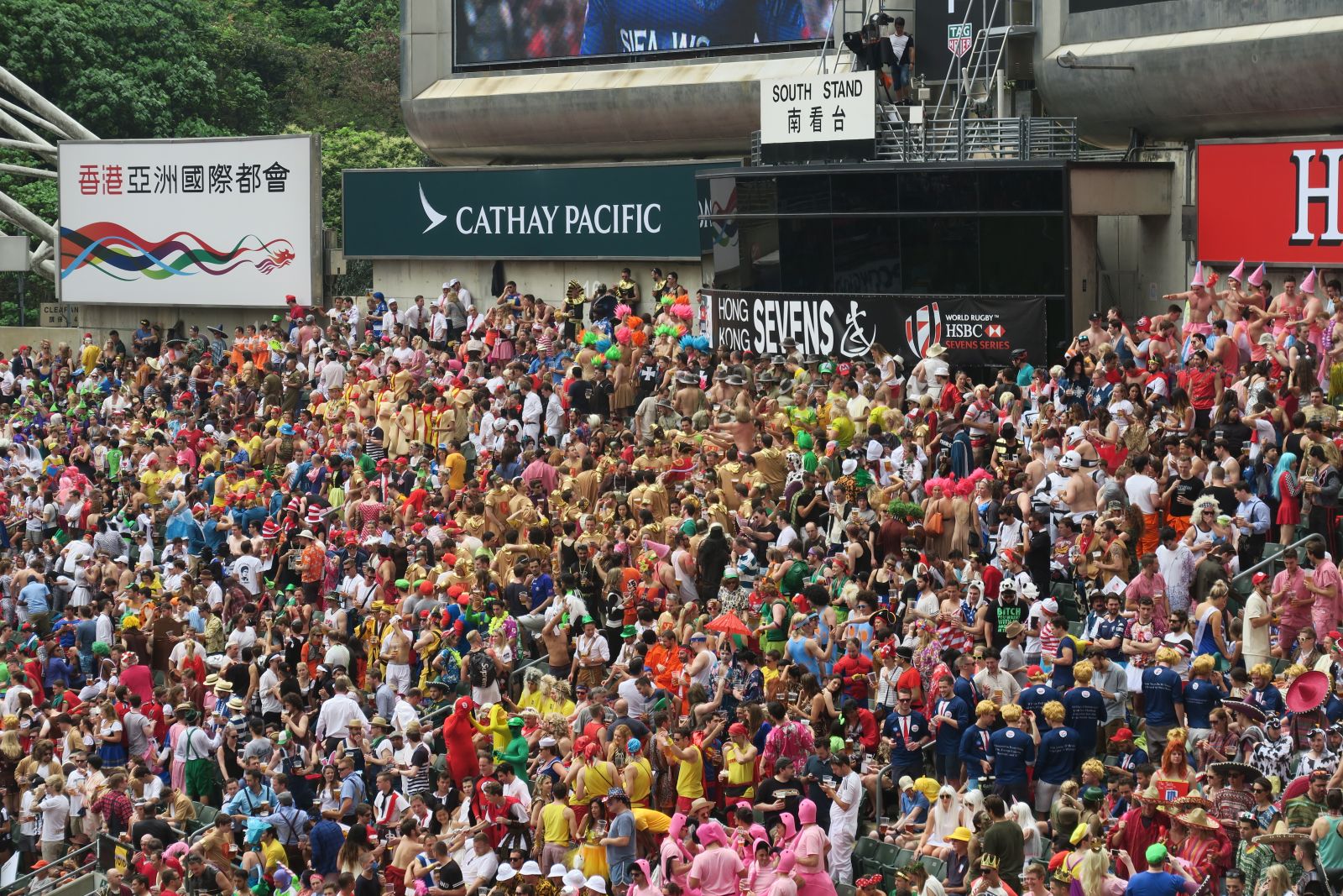 香港國際七人欖球賽，為當地帶來驚人經濟效益。攝影/楊育欣